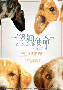 娱乐圈吃瓜小狗小说免费阅读,小狗仔的娱乐圈风云录