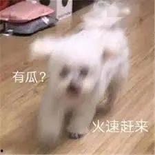 吃瓜娱乐趴,揭秘娱乐圈幕后故事