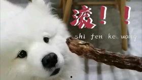 娱乐吃瓜汪,汪峰效应下的娱乐新闻解析