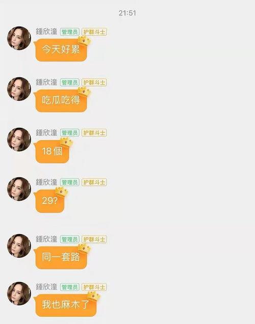 娱乐吃瓜合成一个词怎么说,一词合成，揭秘娱乐圈幕后故事