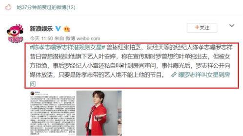 娱乐圈大佬吃瓜小说,大佬们的瓜田秘闻