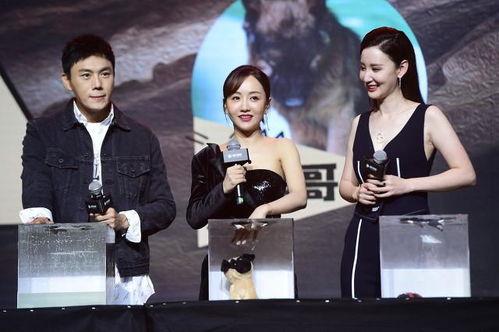 娱乐圈吃瓜合集最全,揭秘最全吃瓜合集